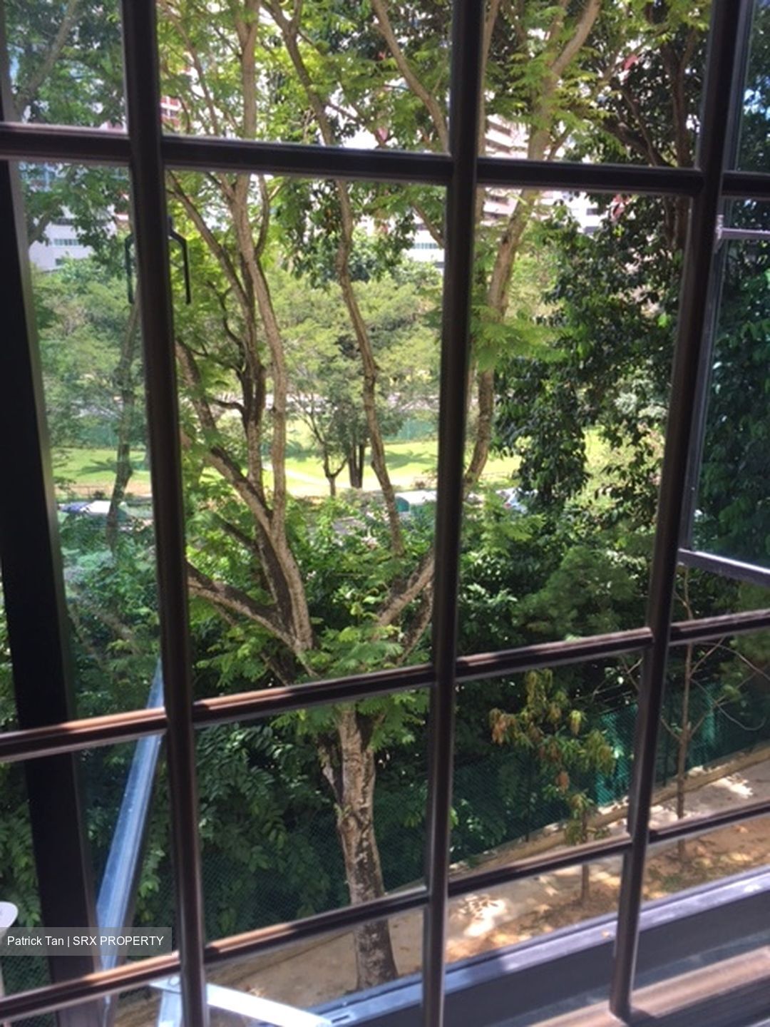 Euro-Asia Park (D13), Condominium #354885441